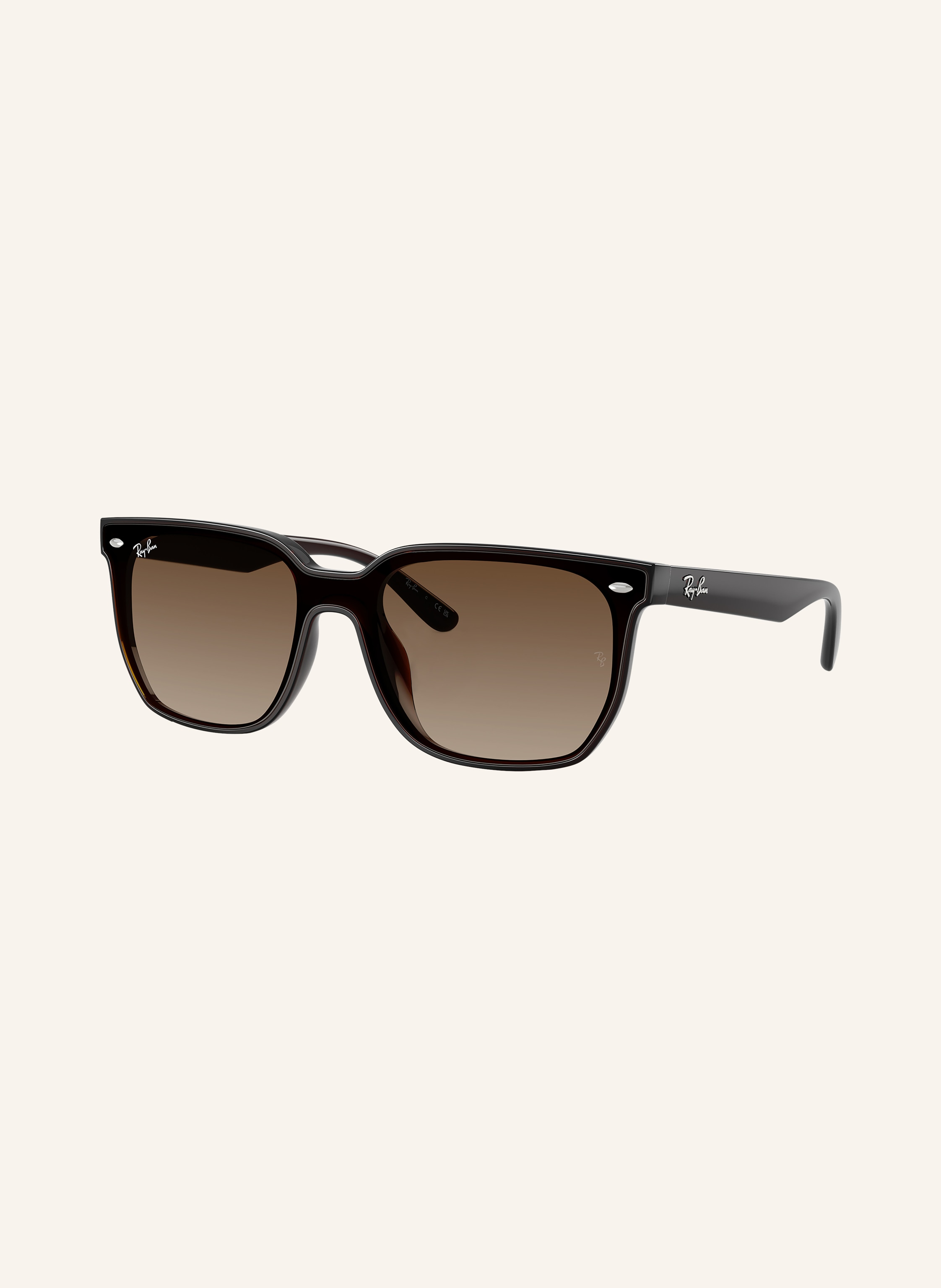 Ray-Ban Sonnenbrille RB4466D