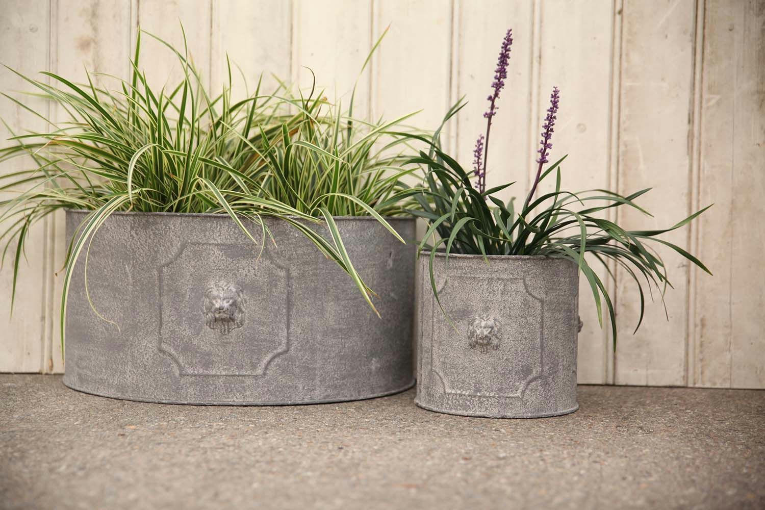 - Pot de fleurs ronds lion (lot de 2)
