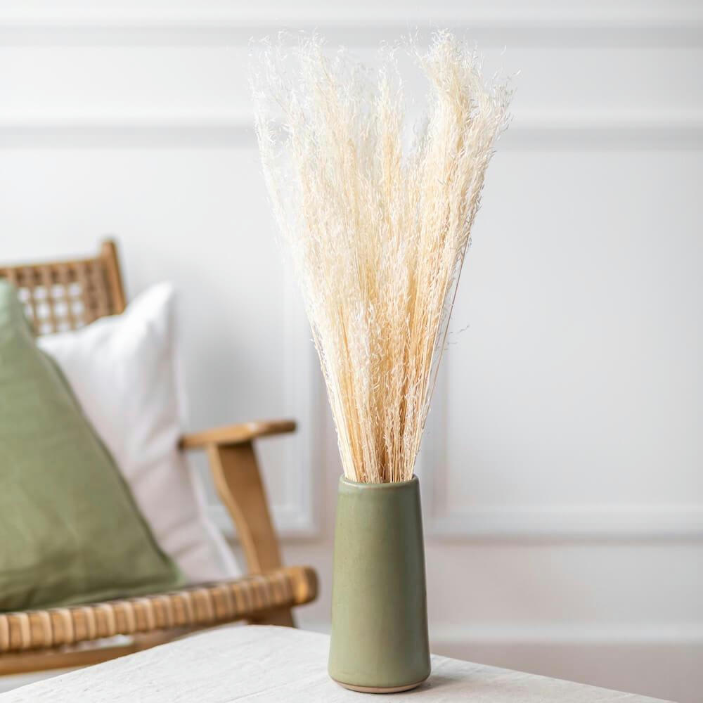 MINI GRASS - Fleurs séchées herbes beiges
