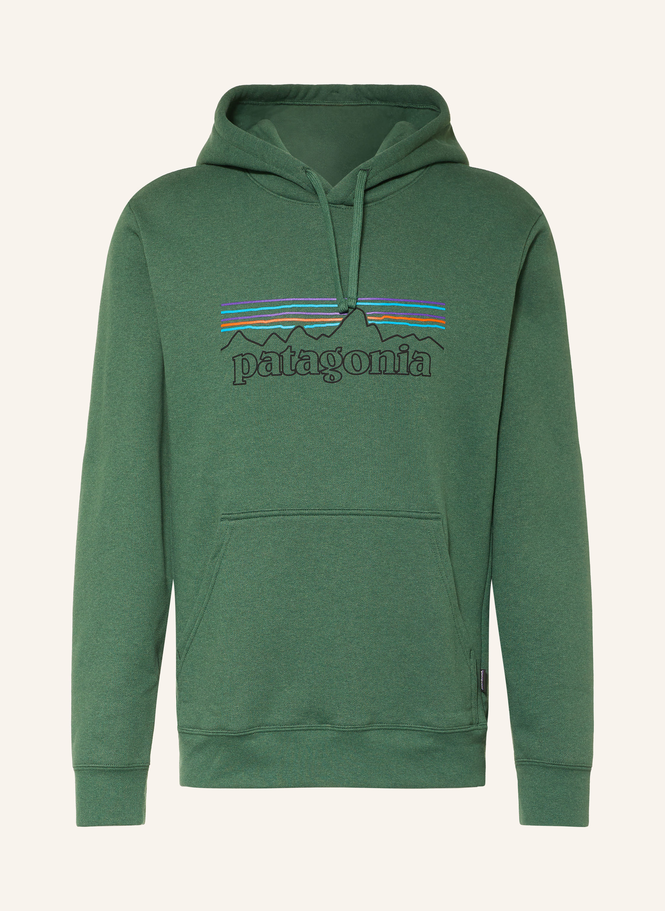patagonia Hoodie P-6