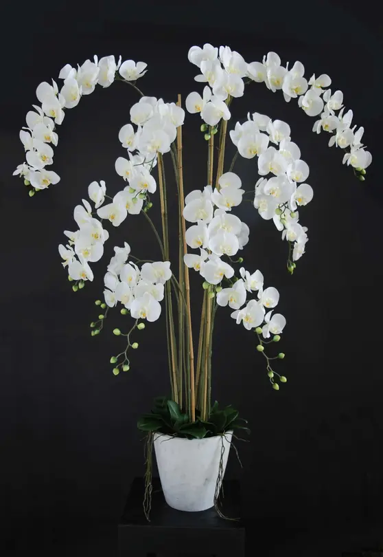 Kunstpflanze Phalaenopsis