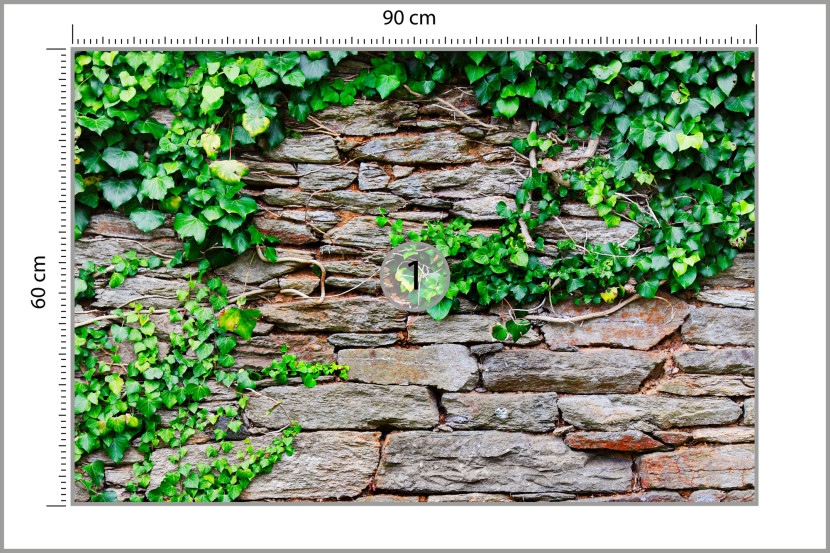 Fototapeta Abstrakcyjny Bluszcz Na Ścianie 90x60cm