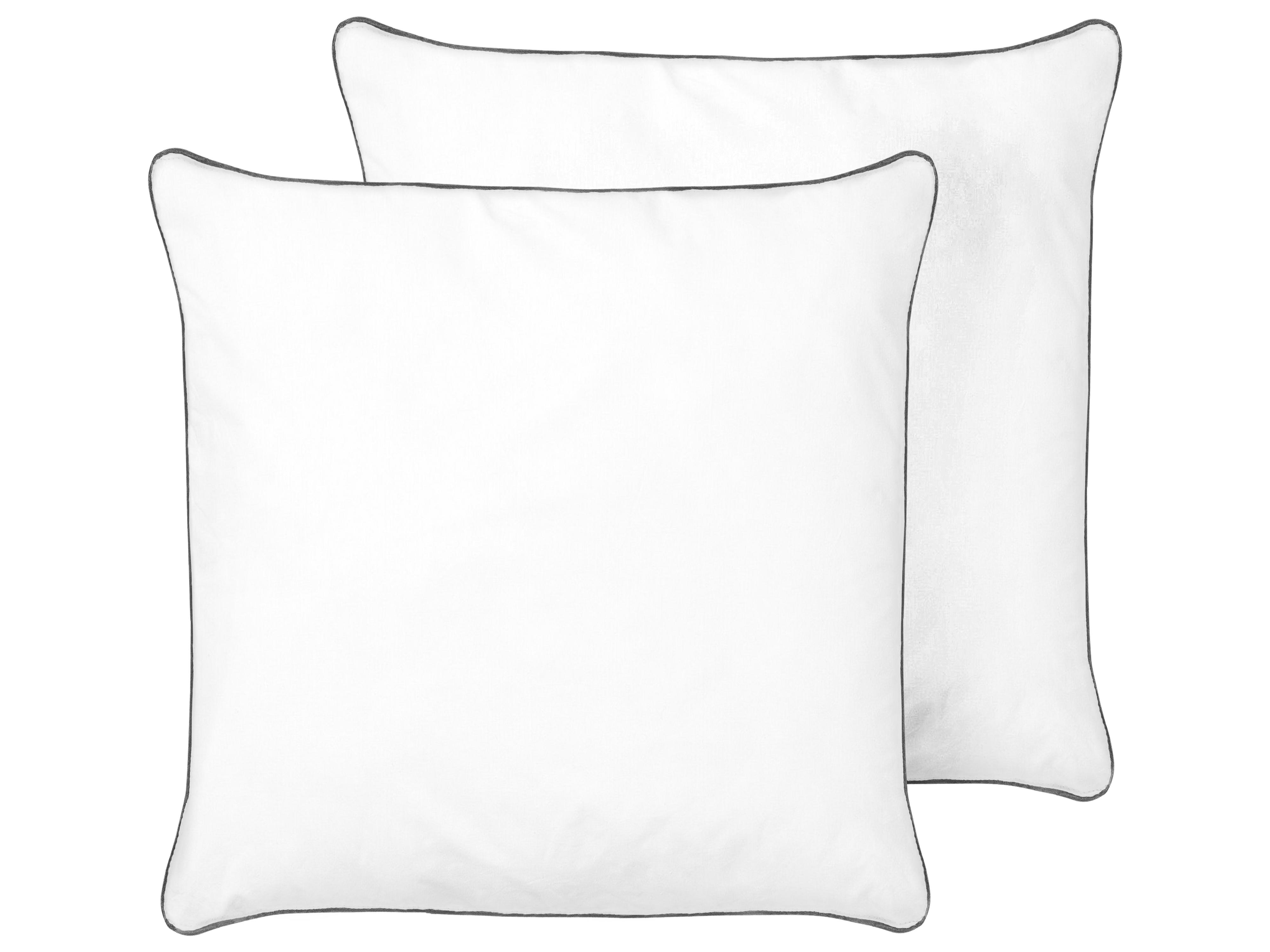 Set of 2 Bed Pillows PELISTER High Microfibre 80 x 80 cm White