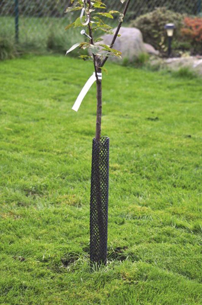 GNAGERBESKYTTELSE WEIBULLS SVART NETT 58CM