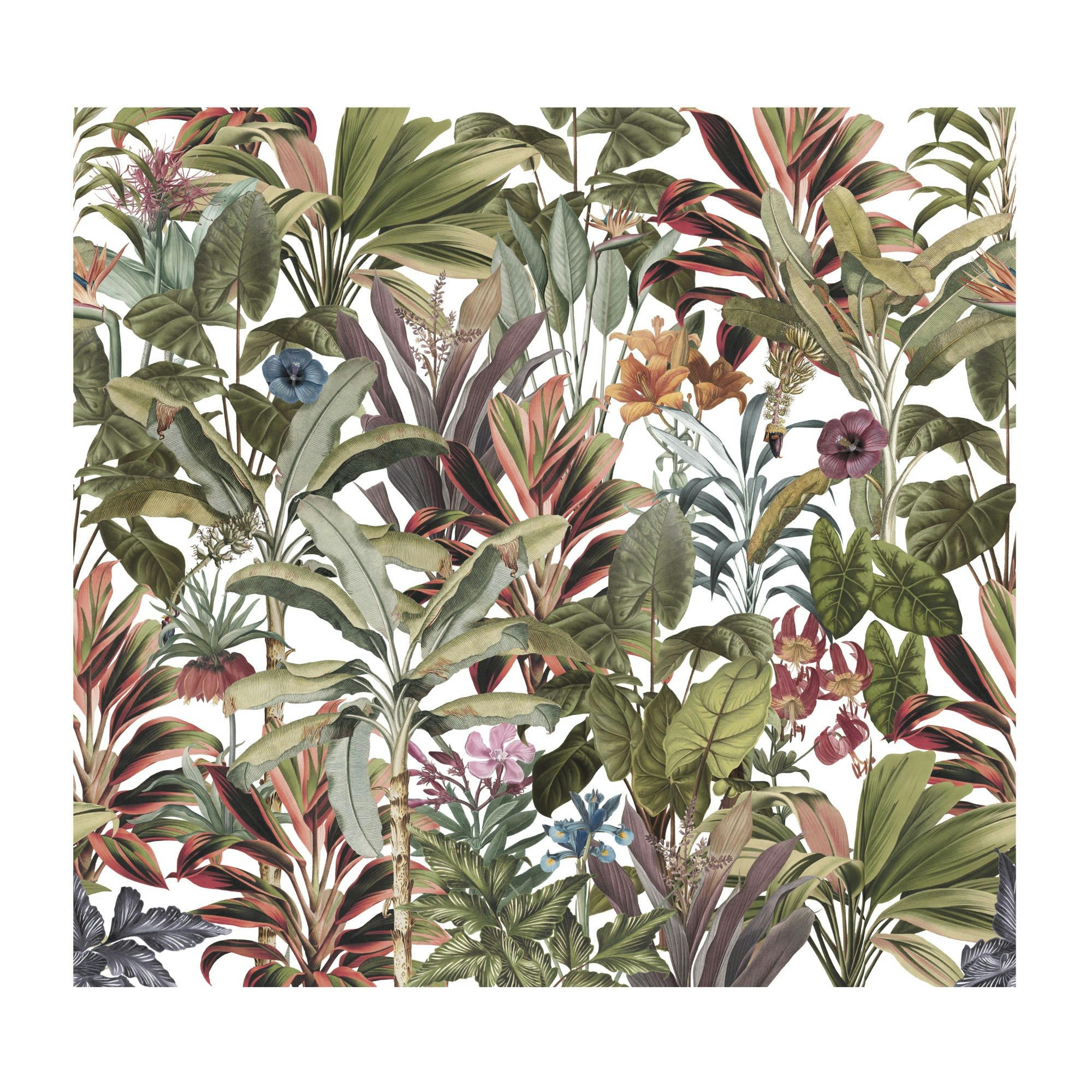 - fresque panoramique botanique léonie multicolore 300x280cm