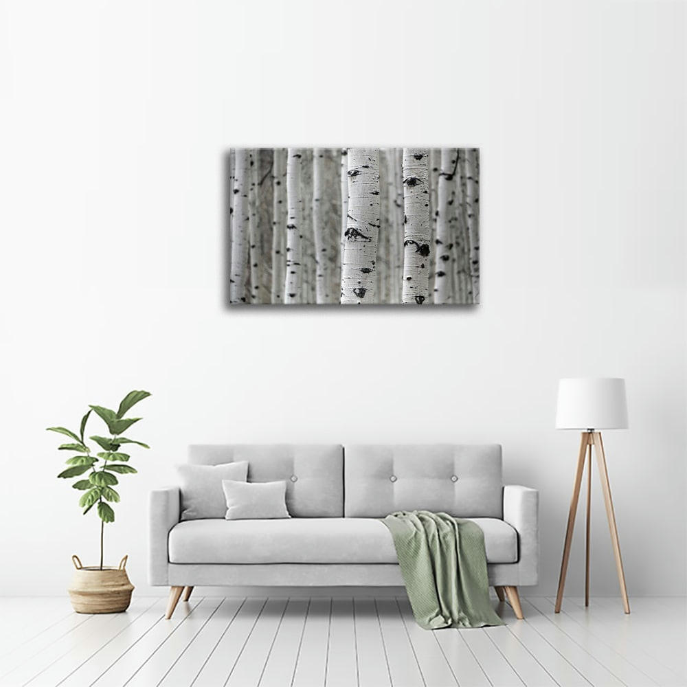 - Tableau impression sur toile Bûches de bouleaux 60x90cm