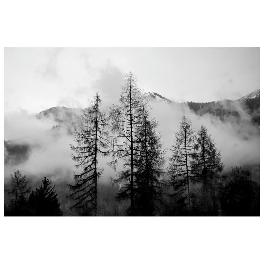 - Tableau impression sur toile des pins nus dans les nuages 60x90cm