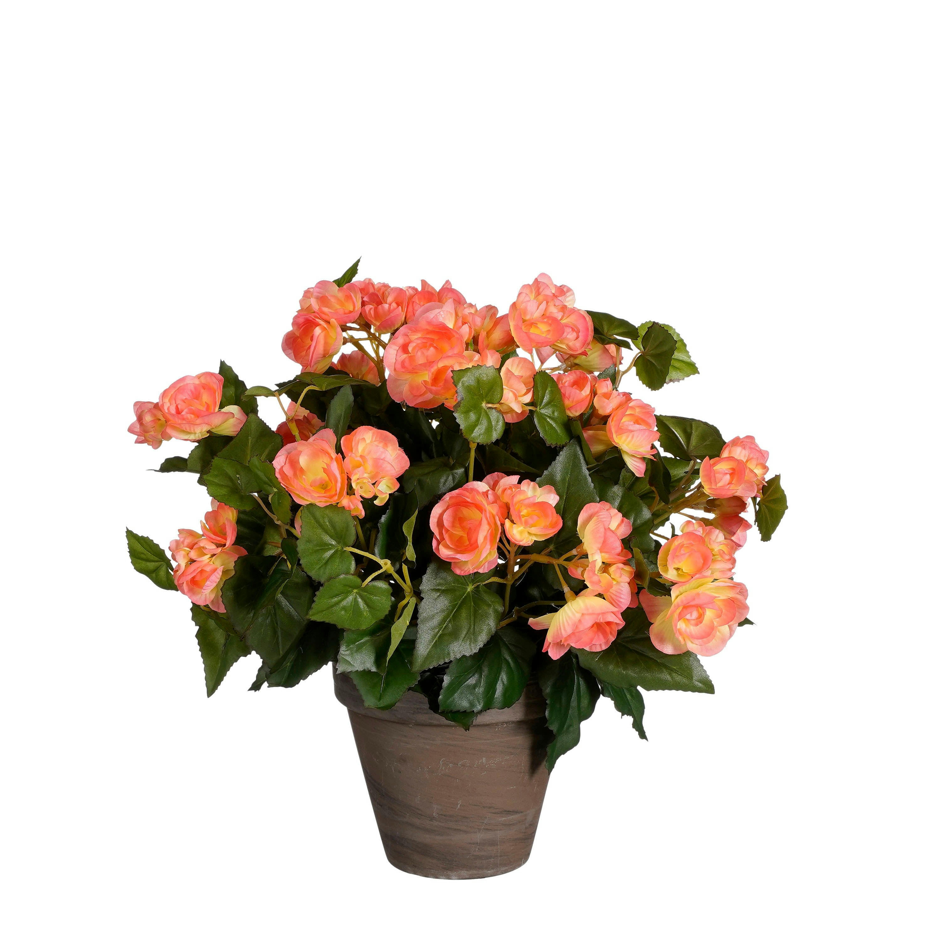 - Bégonia artificielle rose saumon en pot H37