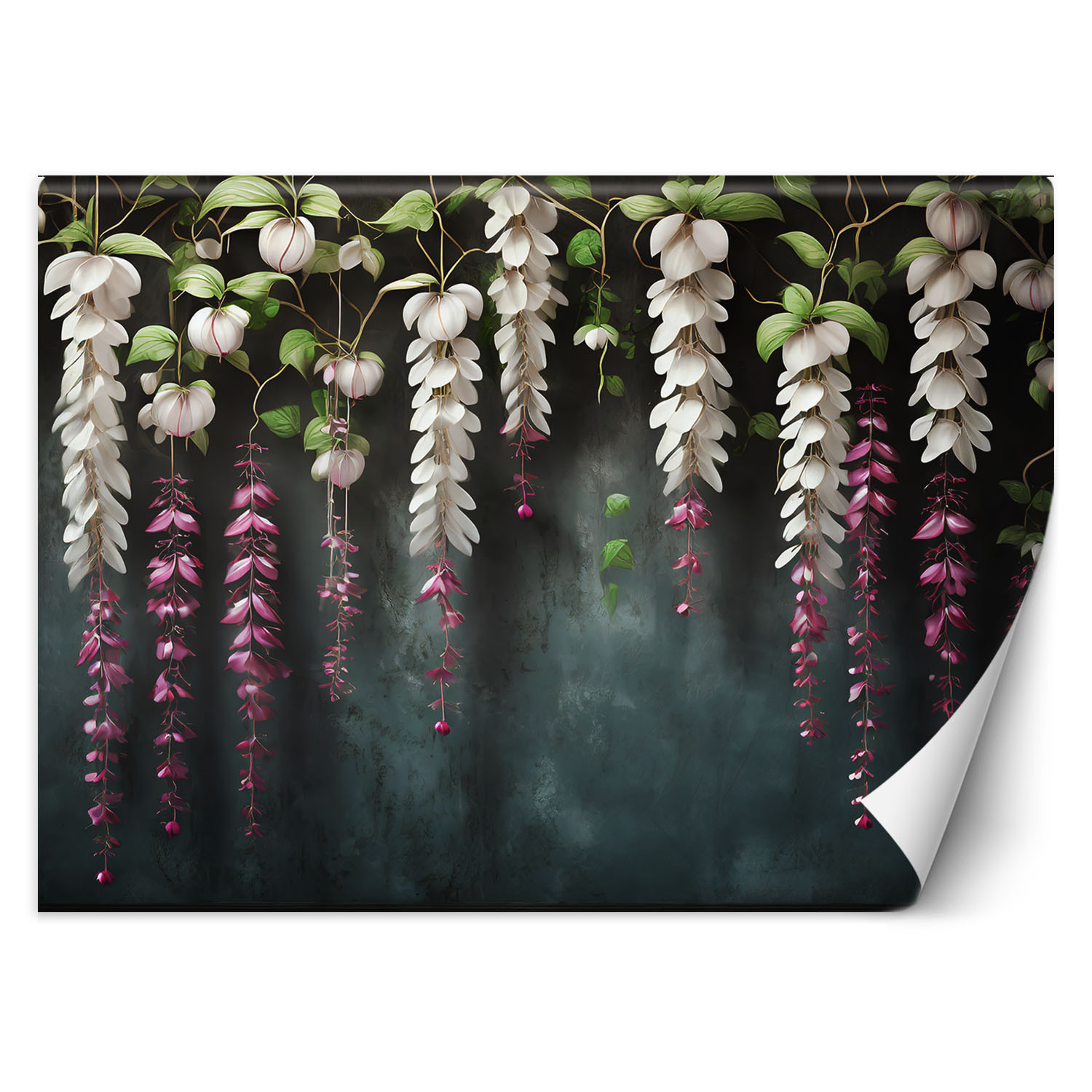 Feeby Fototapeta, Zwisające kwiaty wisteria 150x105