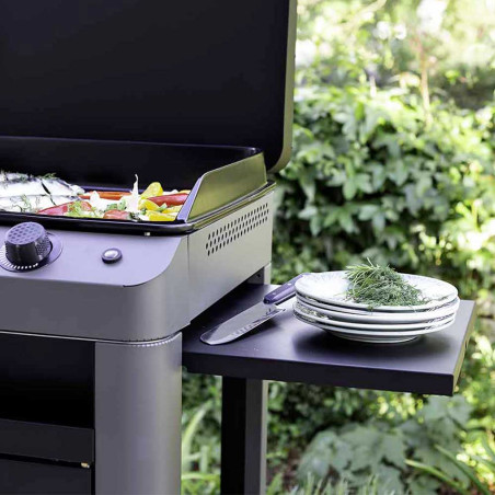 Combo Plancha gaz Fusion 60 gris cargo 2 brûleurs avec chariot - ENO