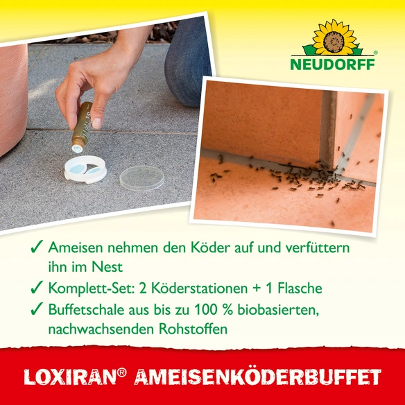 Ameisenmittel »Loxiran«, 2 St.