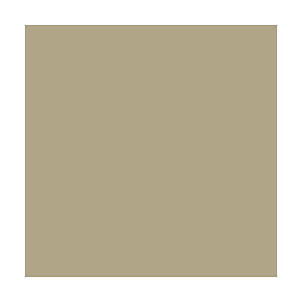 Badigeon à la chaux intérieur extérieur - BADIPLUS Palerme - Beige - 5 kg (jusqu'à 25 m²) - ARCANE INDUSTRIES