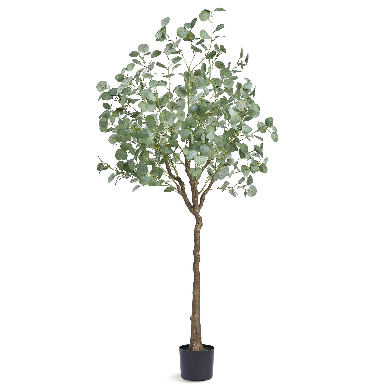 Drzewo eukaliptus sztuczne drzewko ozdobne 181 cm