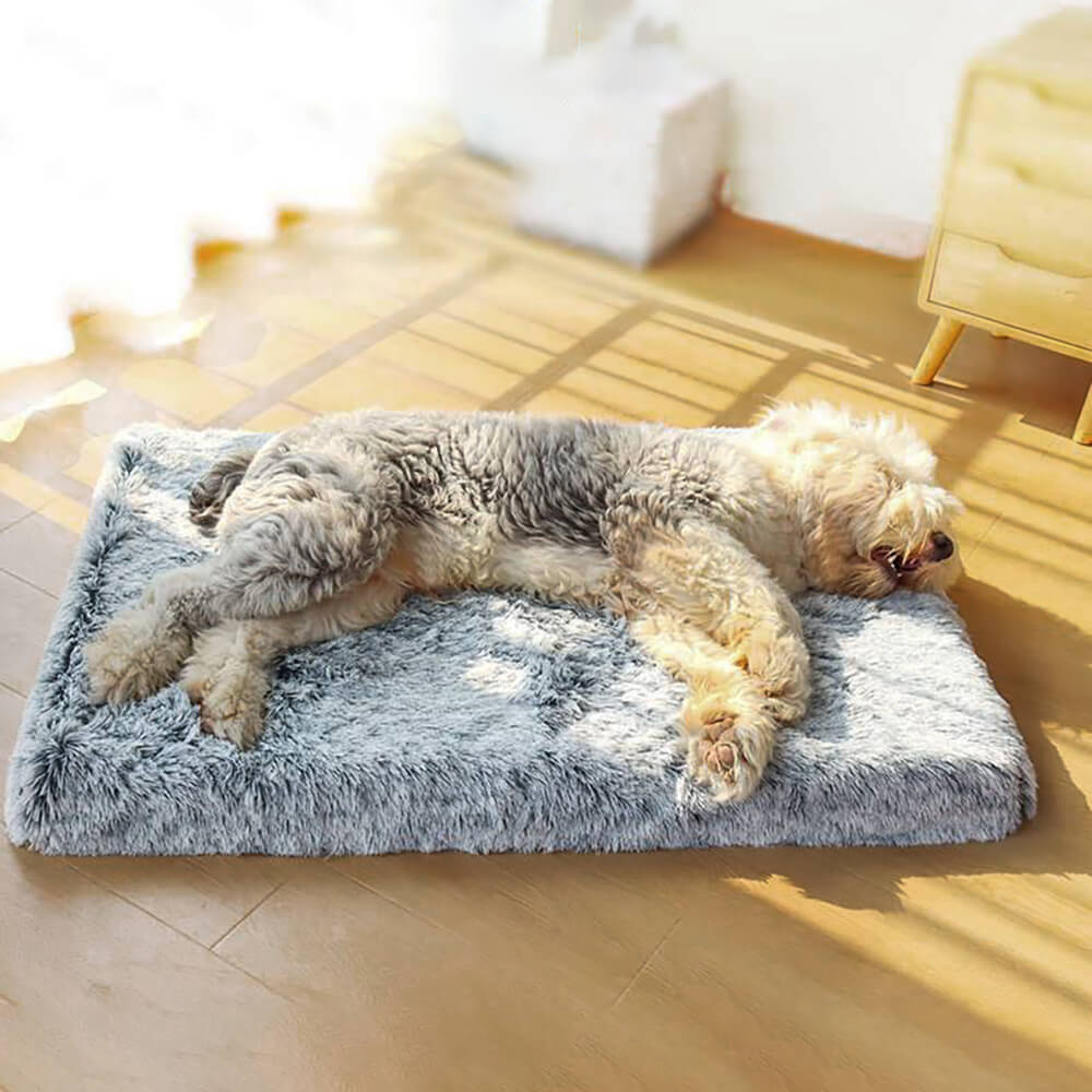 Orthopedic Dog Bed - Fuzzy Crate