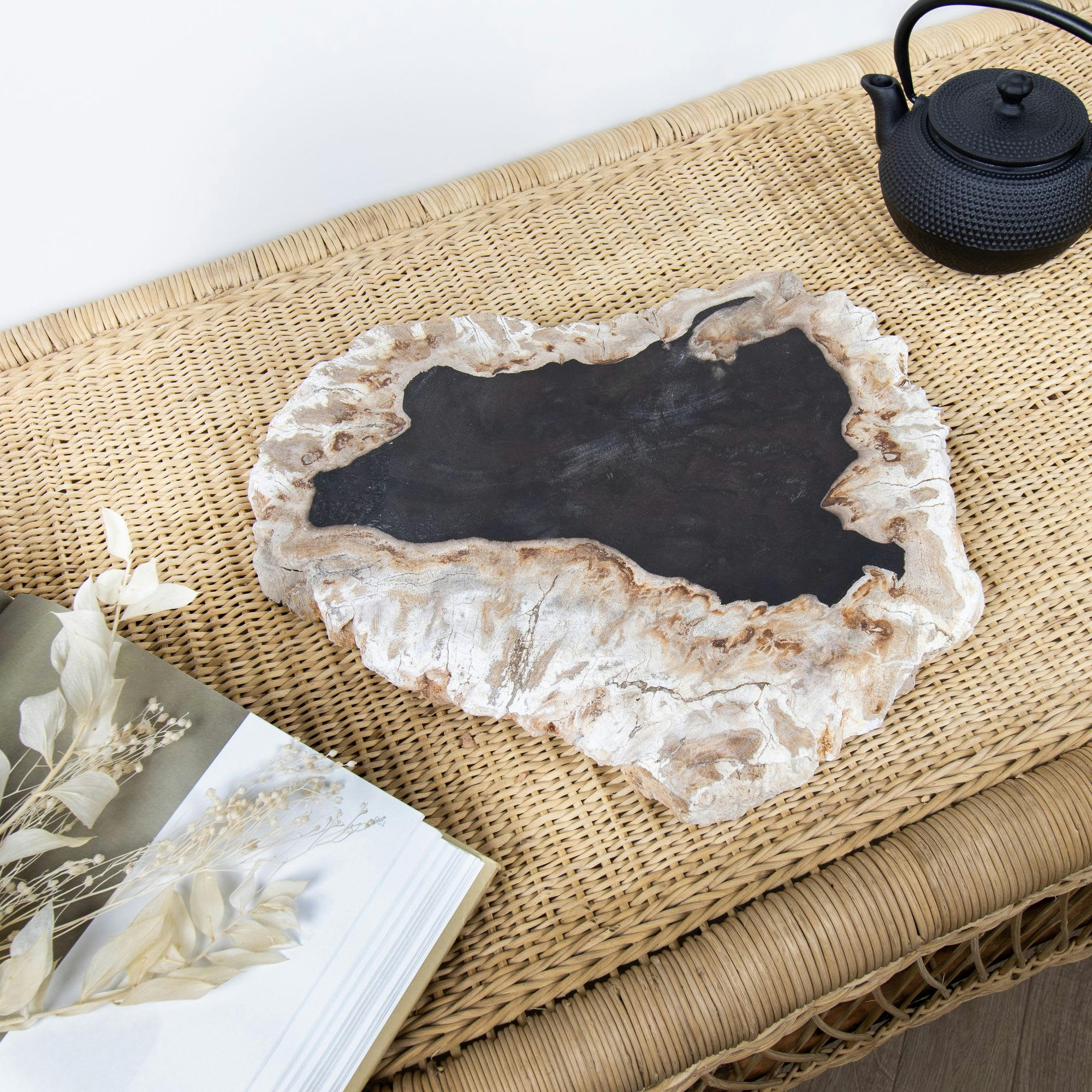 PALU - Plateau de présentation en bois pétrifié nuancé