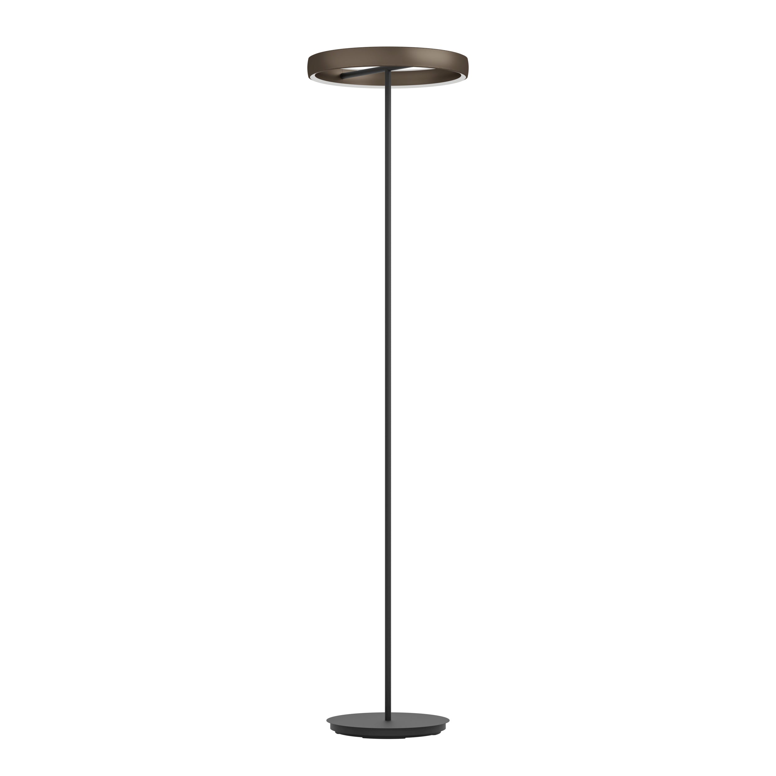 Stars of Light Vloerlamp Trabuco
