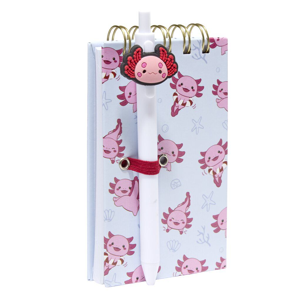 Carnet de notes avec stylo couverture multicolore 8x14,4cm (2 modèles)