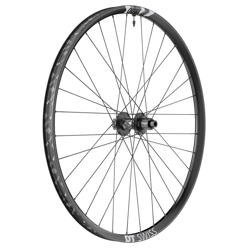 DT Swiss F 1900 Classic 29´´ Disc 6B Tubeless MTB rear wheel