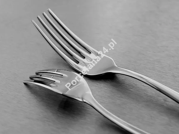 Komplet sztućców 65 cz. na 12 osób Pintinox 1929 - Stresa (2.0 mm) 23.STR.K65