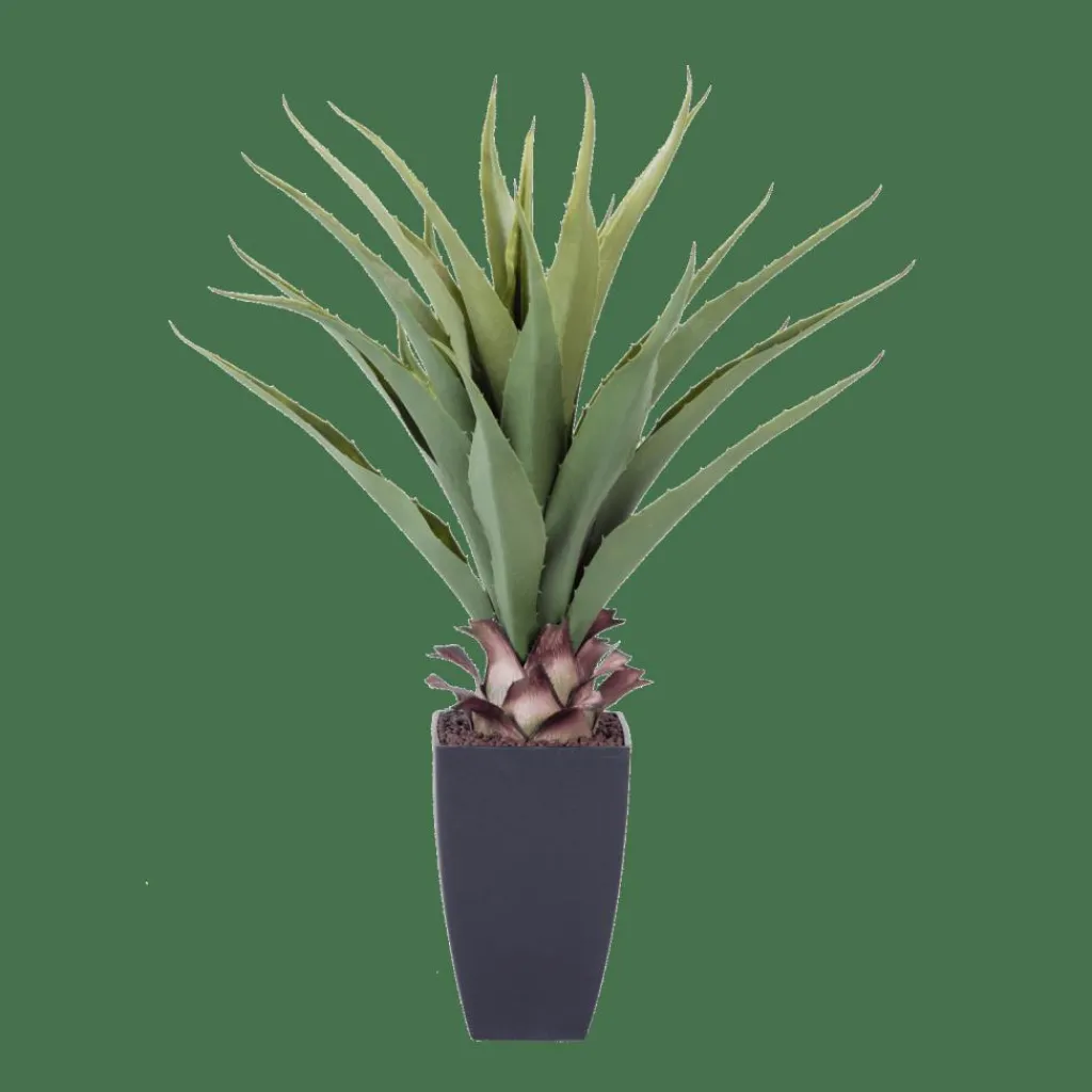 Plantes Artificielles^CASA VERA Aloe Vera Vert