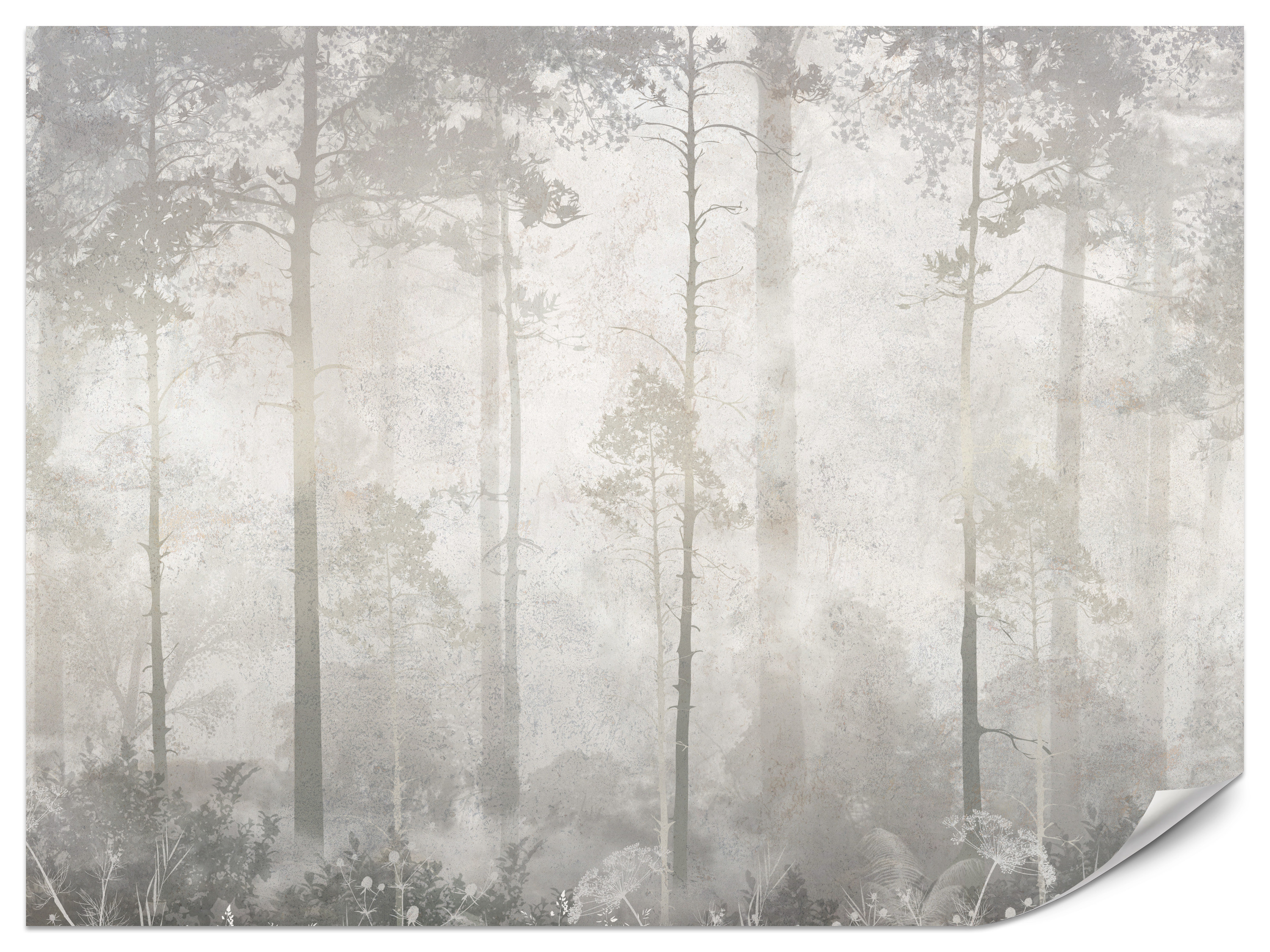 Fototapeta Mglisty las V2 100x70cm
