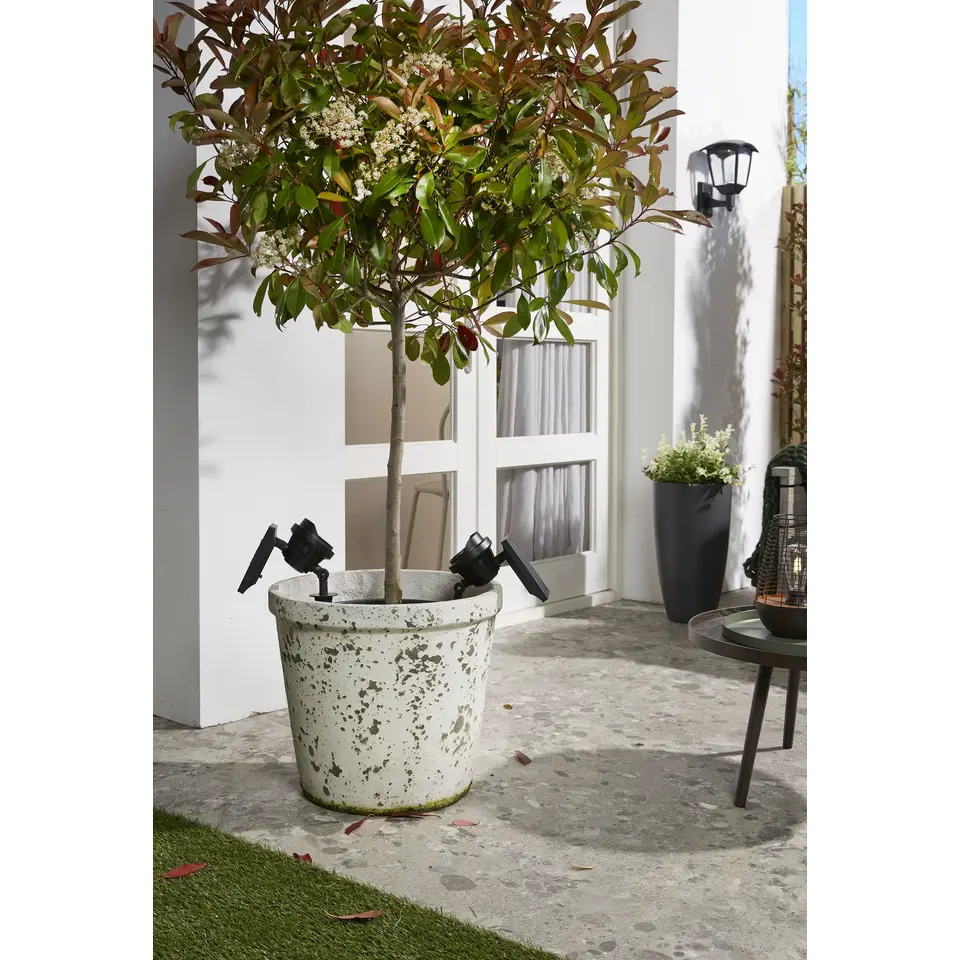 Solar Intelligent Hybride Prikspot - Texas