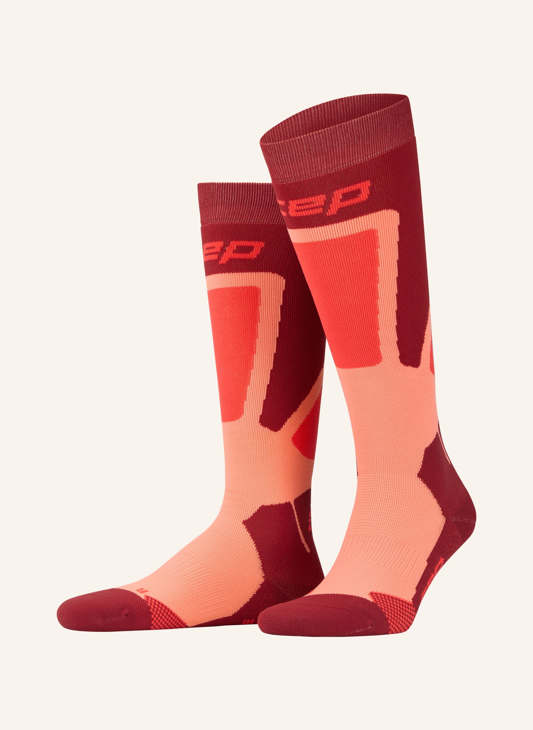 cep Skisocken SKI THERMO TALL