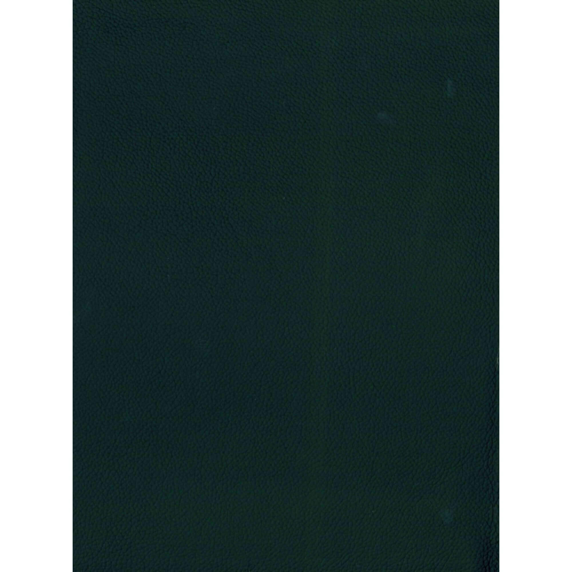 SELESTA - Canapé relax 2 places en cuir noir