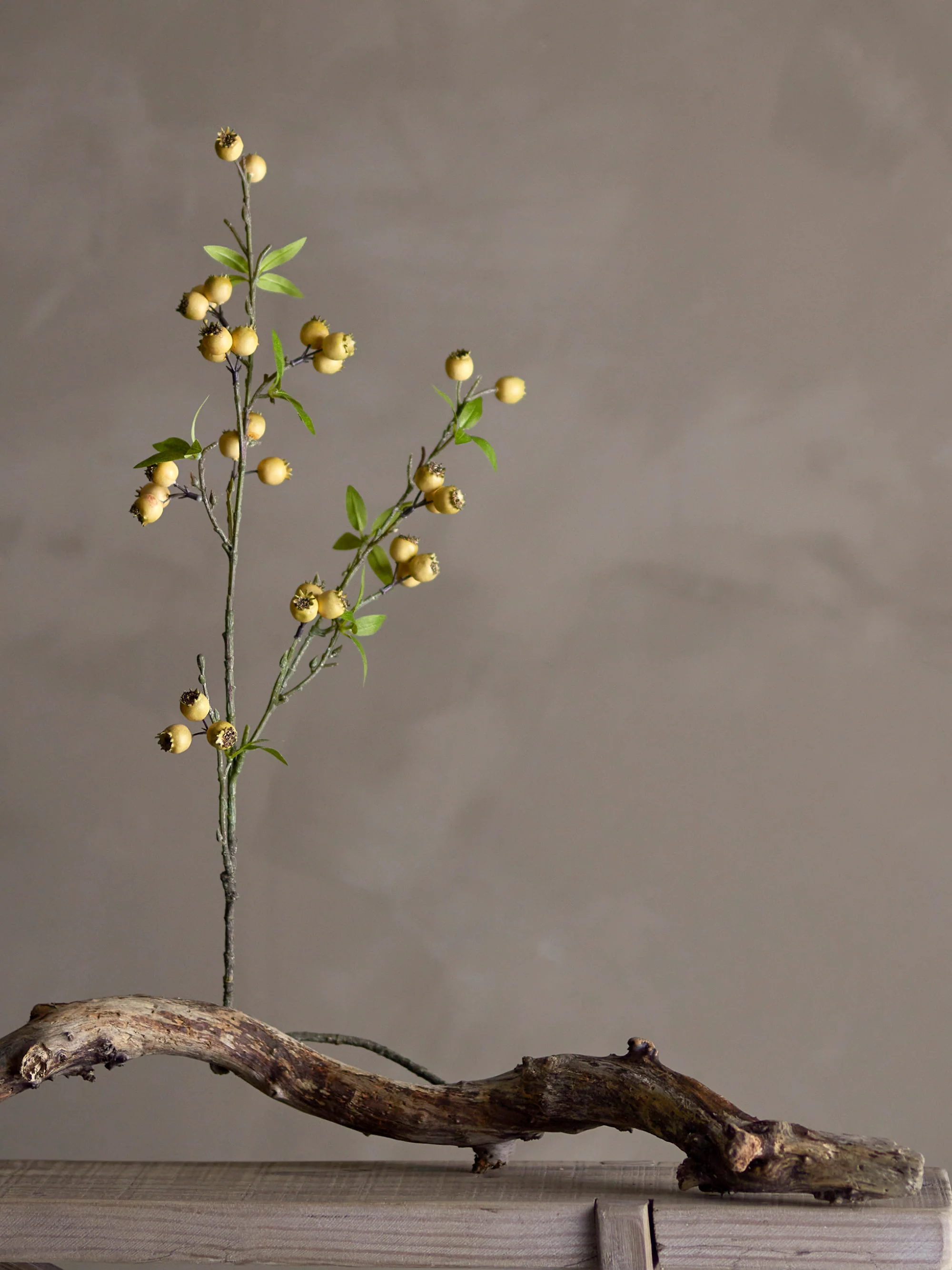 Kunstblume Hawthorn