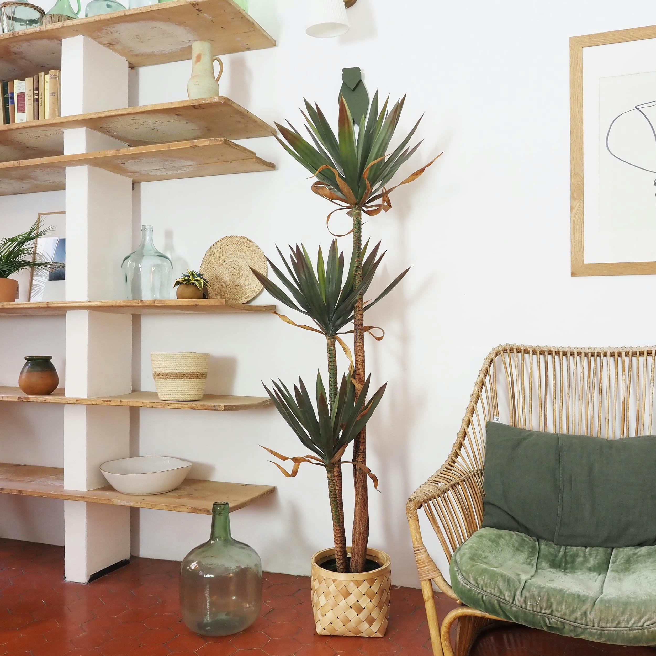 - Yucca artificiel 165cm lot de 2