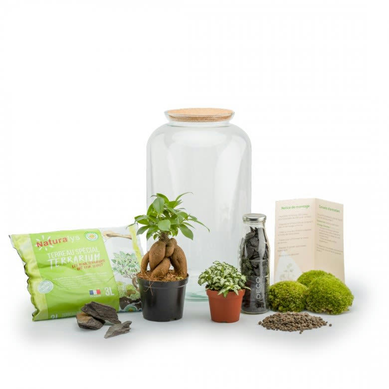 TERRA KIT - Kit terrarium plantes bonbonne m (23 x 41 cm)