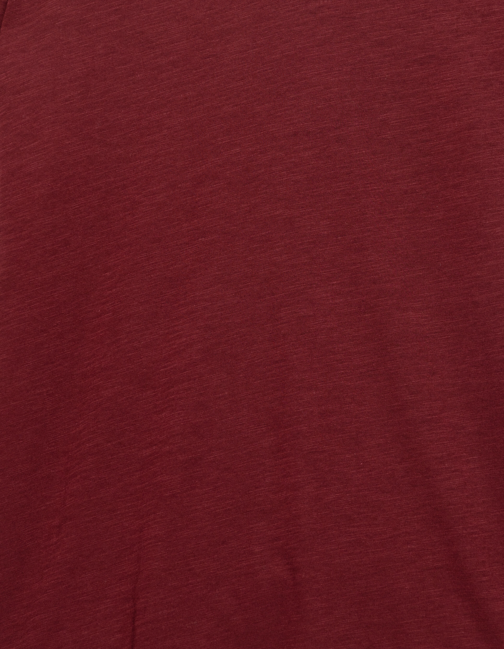 T-shirt encolure V bleu grisé coton bio flammé Homme