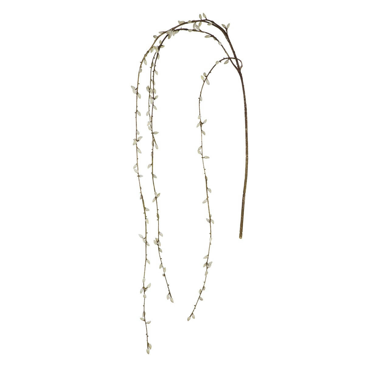 - Tige de saule tombante H155