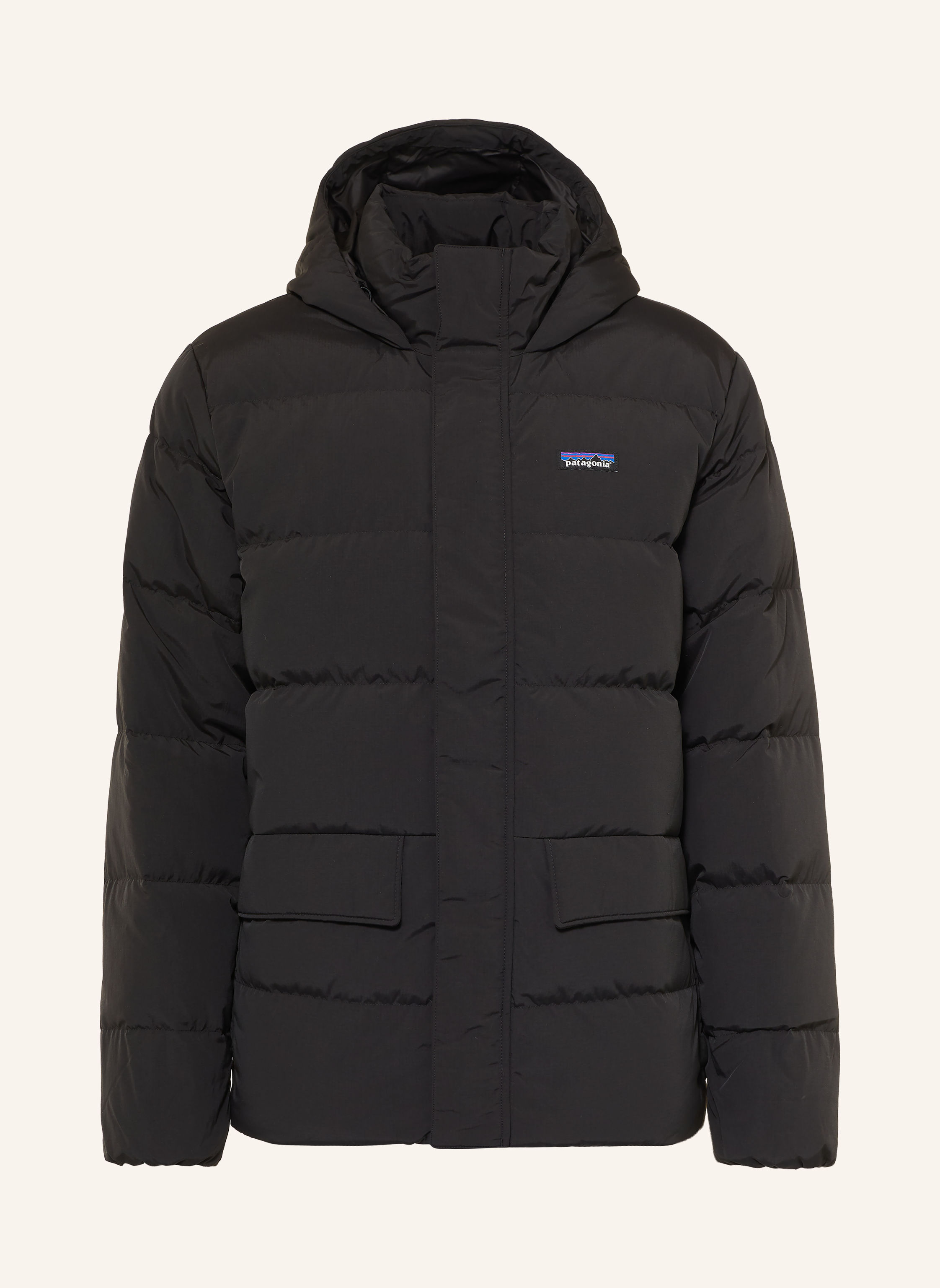 patagonia Daunenjacke SISAR