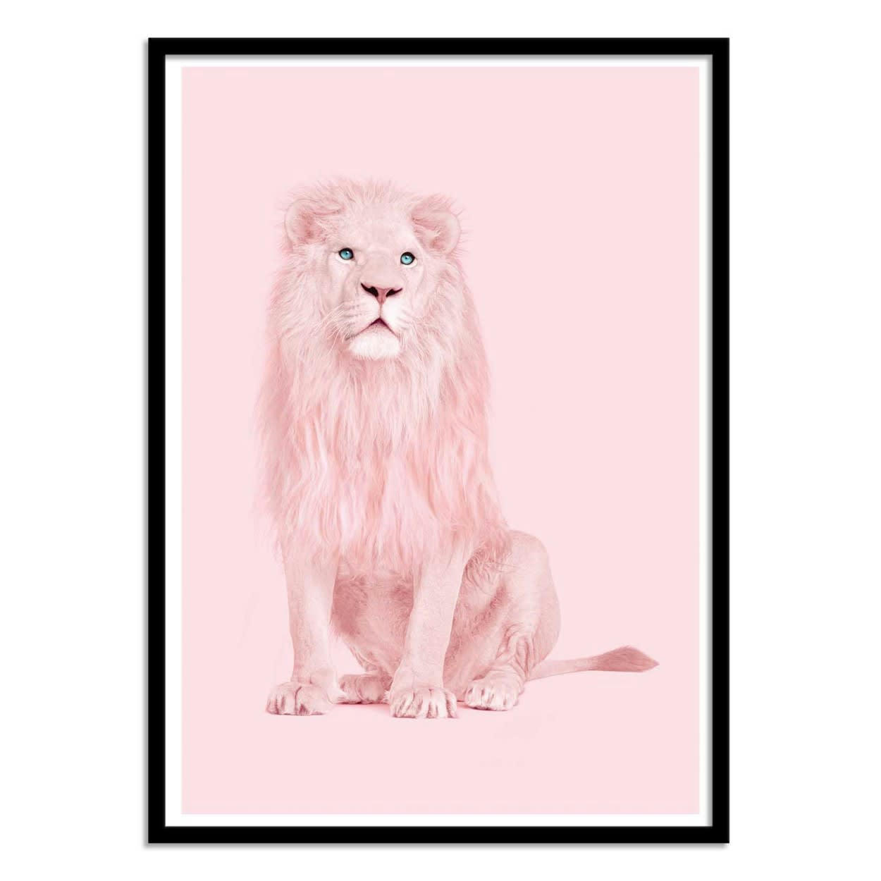 PAUL FUENTES - PINK LION - Affiche d'art 50 x 70 cm