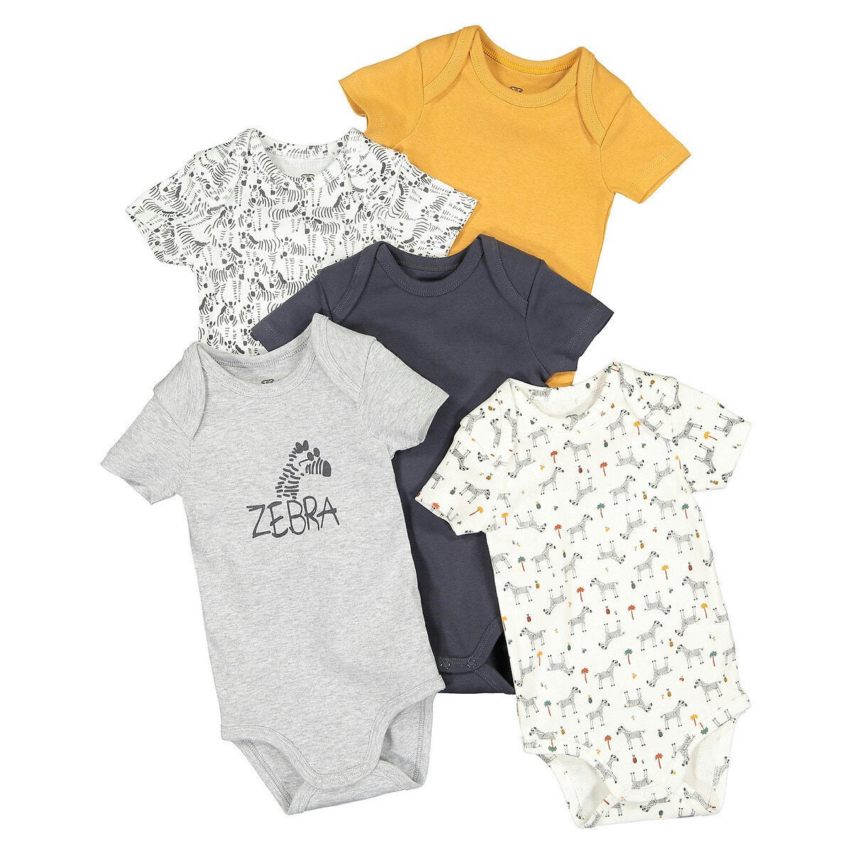 Lot de 5 bodies coton bio