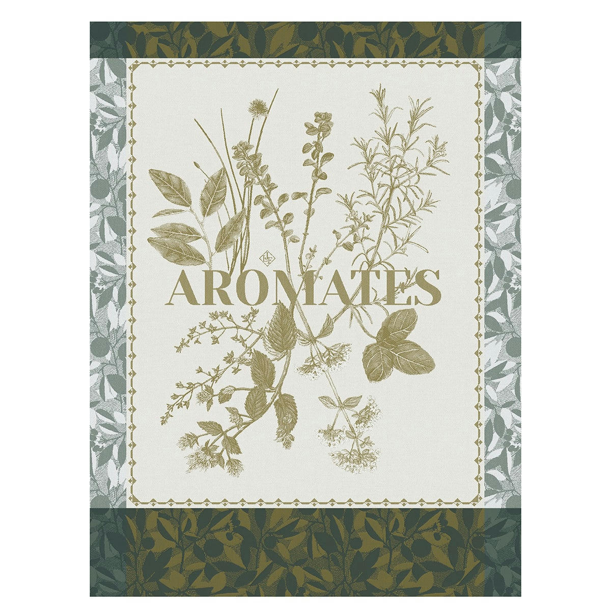 ÉPICES & AROMATES - Torchon en coton thym 60 x 80