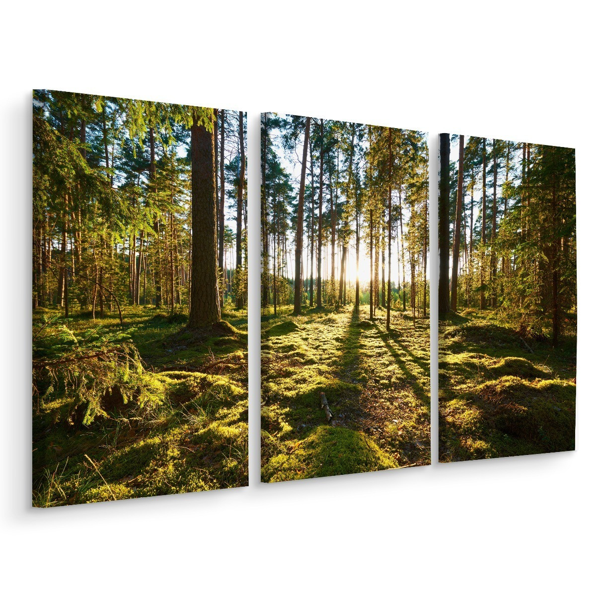 Obraz TRYPTYK Las Drzewa Słońce Natura 3D 60x40cm