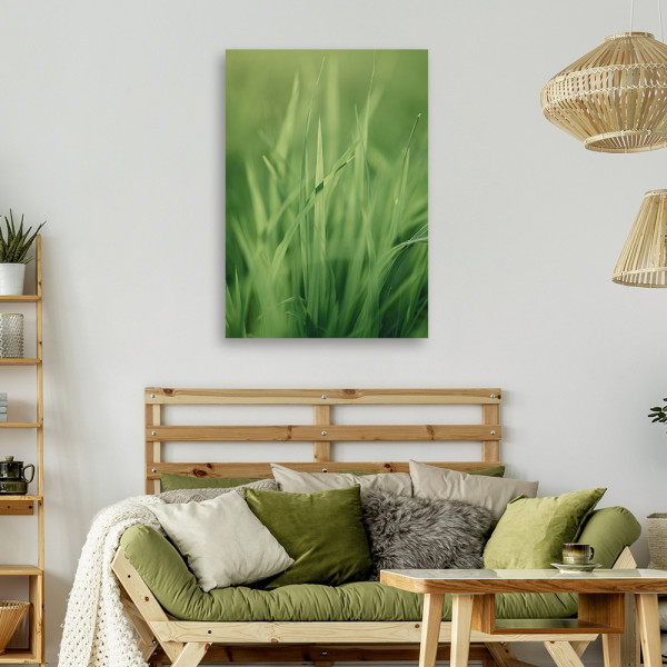 Feeby Obraz na płótnie, Źdźbło trawy 40x60