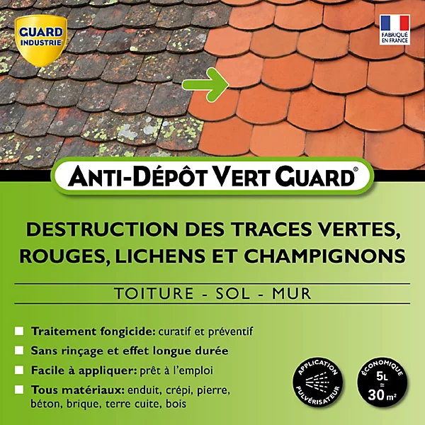 Anti Dépôt Vert GuardToute Pierre Tuile Zinc Bois Nettoie Traces Vertes Moisissure Algues Rouge Lichens 5 Litres Traite 30 m2