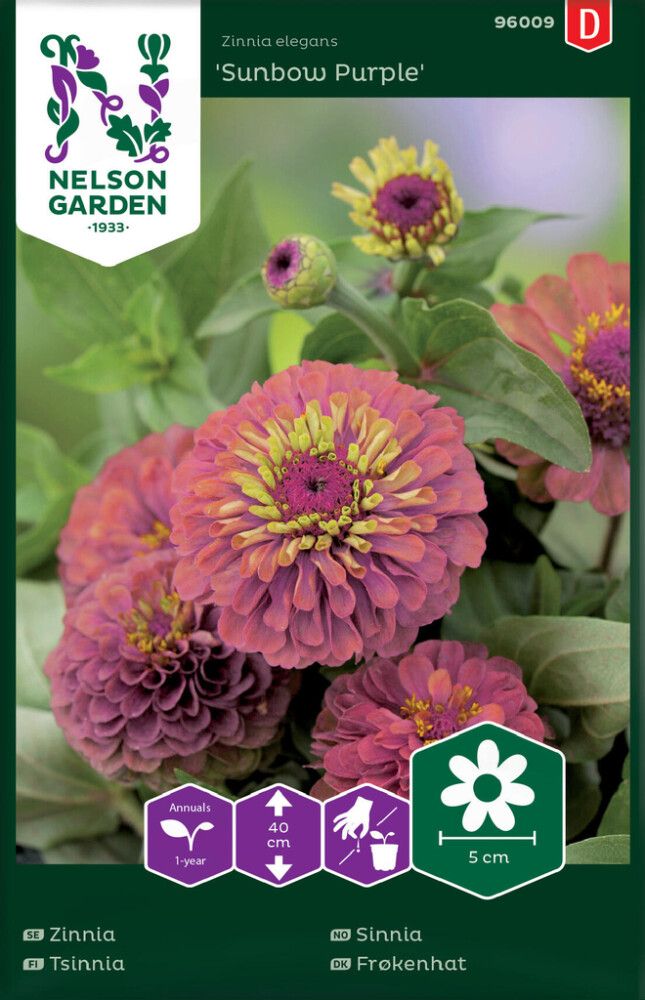 BLOMSTERFRØ NELSON GARDEN SINNIA SUNBOW PURPLE