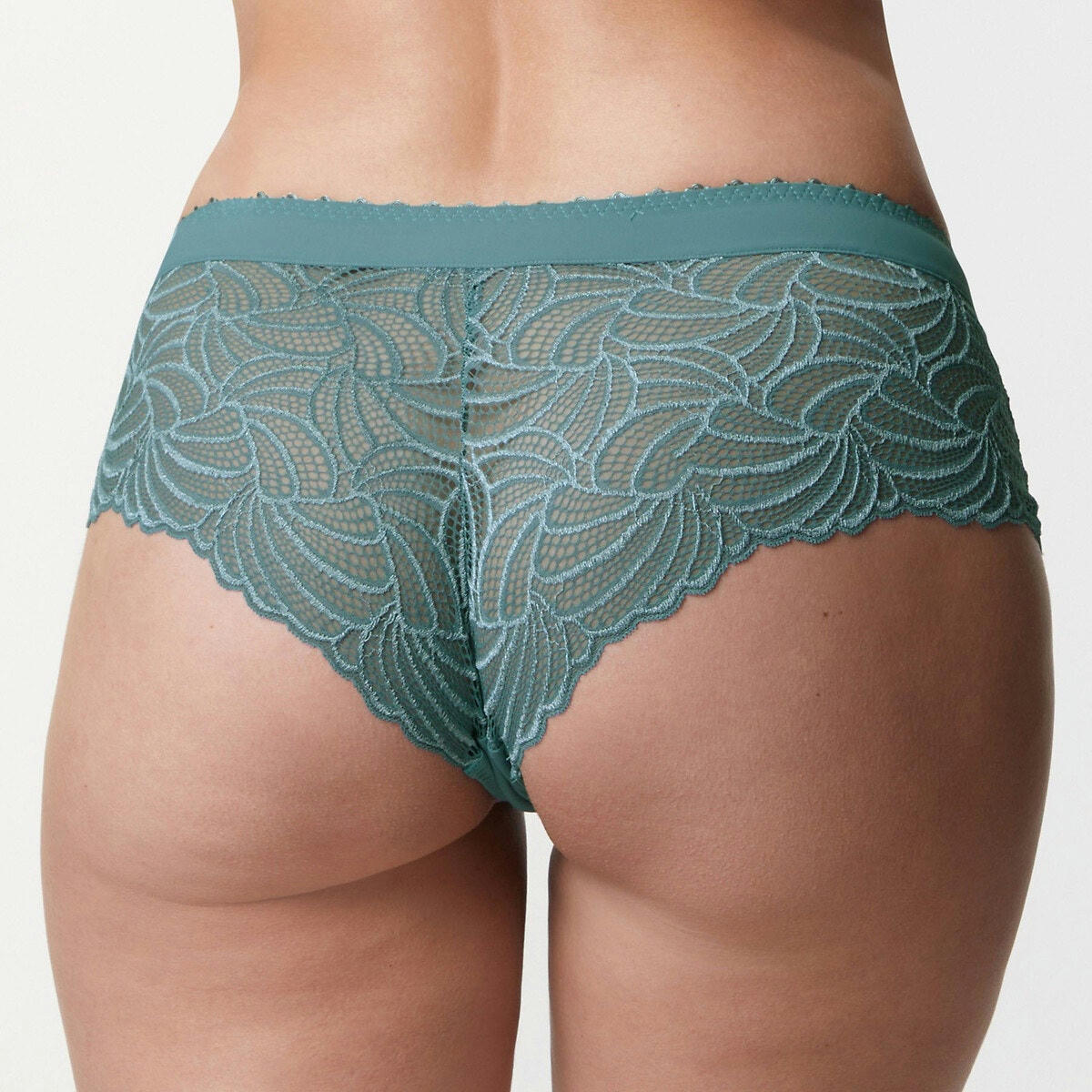 Boxer Pampelune Harmony