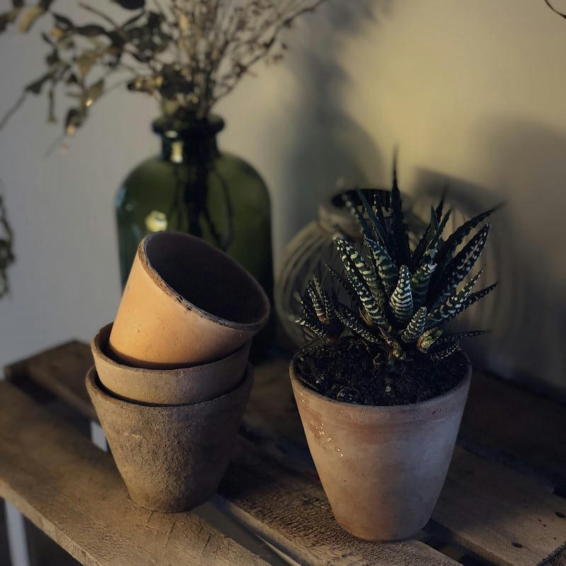 - Véritable pot ancien en terre cuite