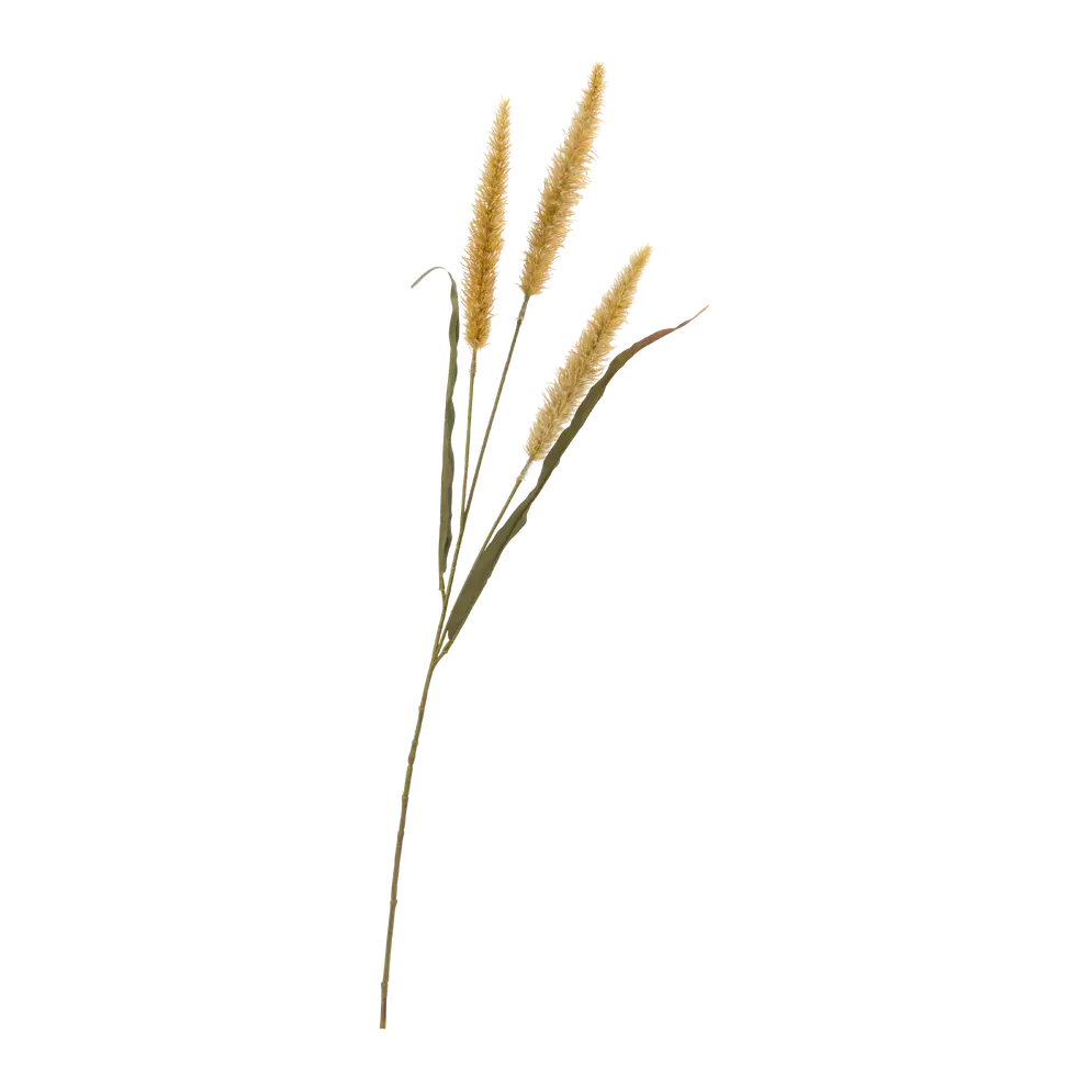 Dekozweig Dried-Grass