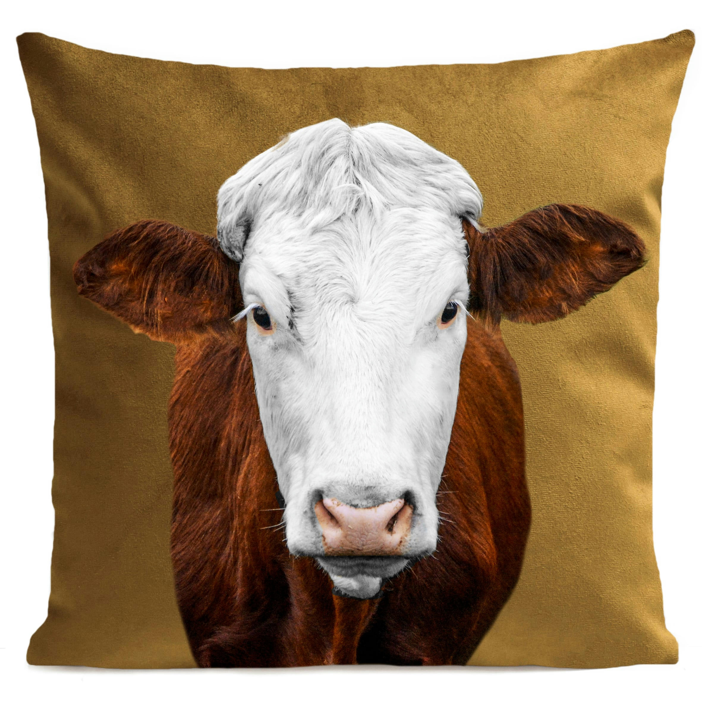 - Coussin campagne vache suédine jaune 40x40cm