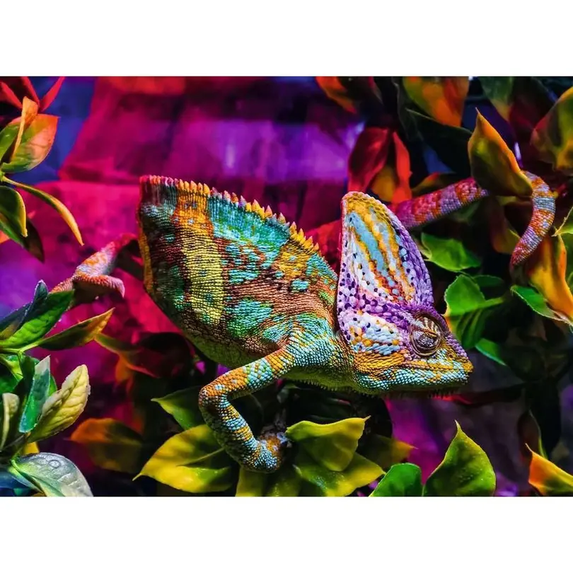 Puzzle Chameleon