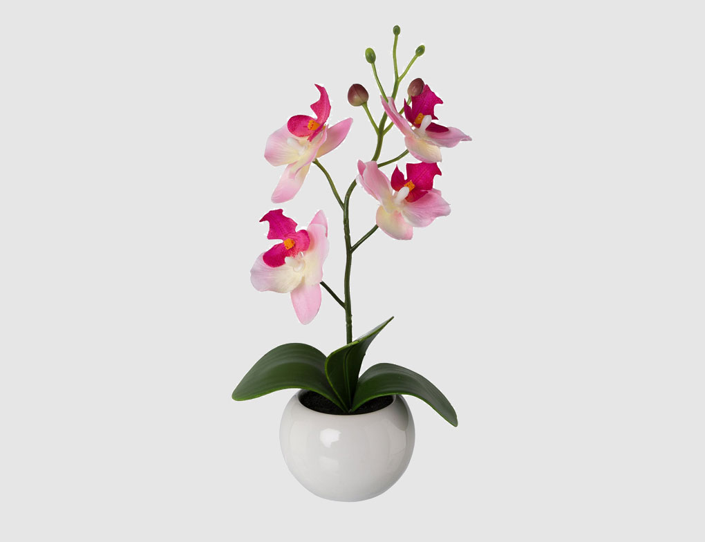 Kunstblume Orchidee