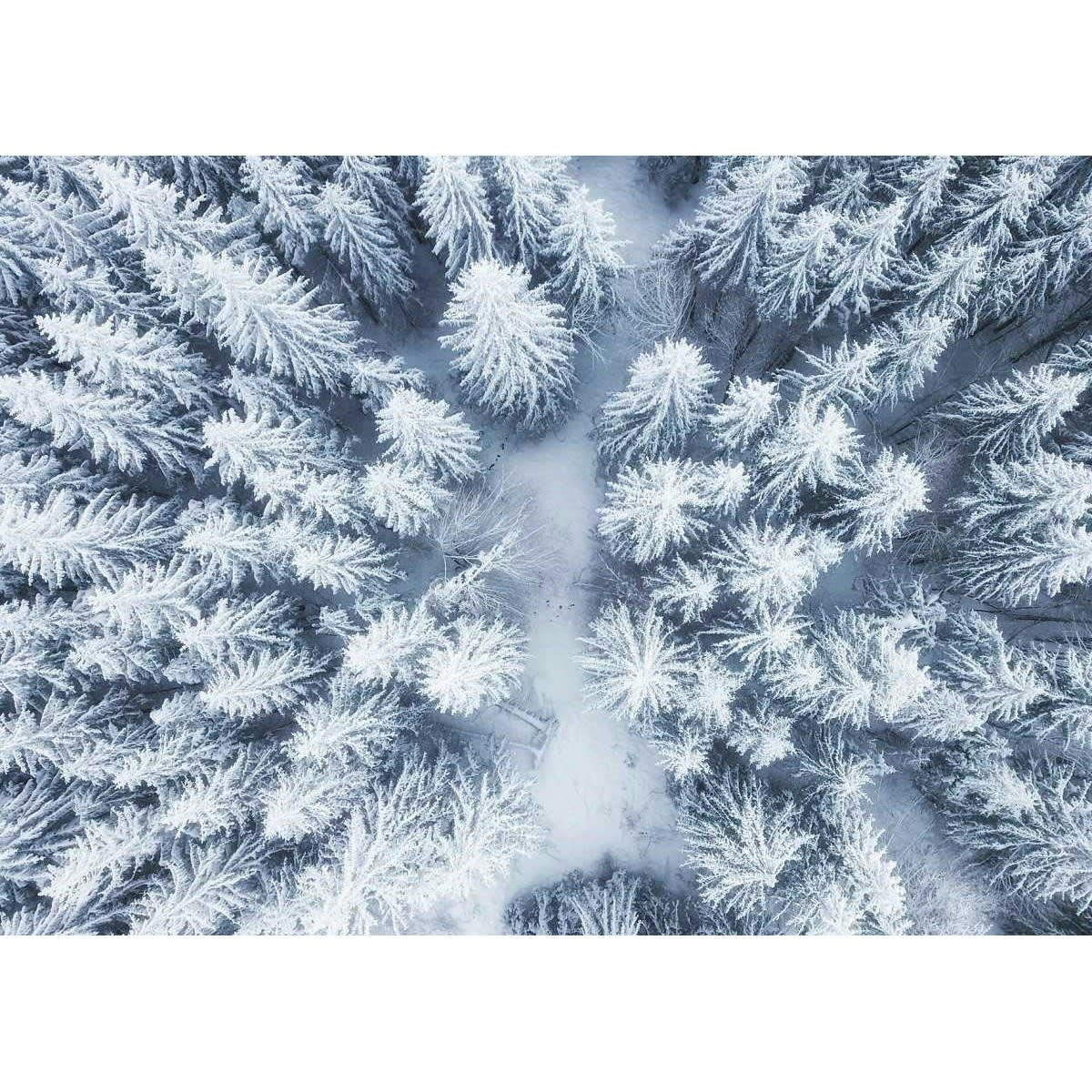 NATURE ÉVASION - Tableau sur verre forêt enneigée 45x65 cm