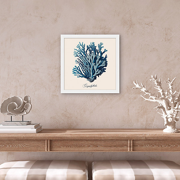 Affiche corail bleu l.30 x l.30 cm Dada Art