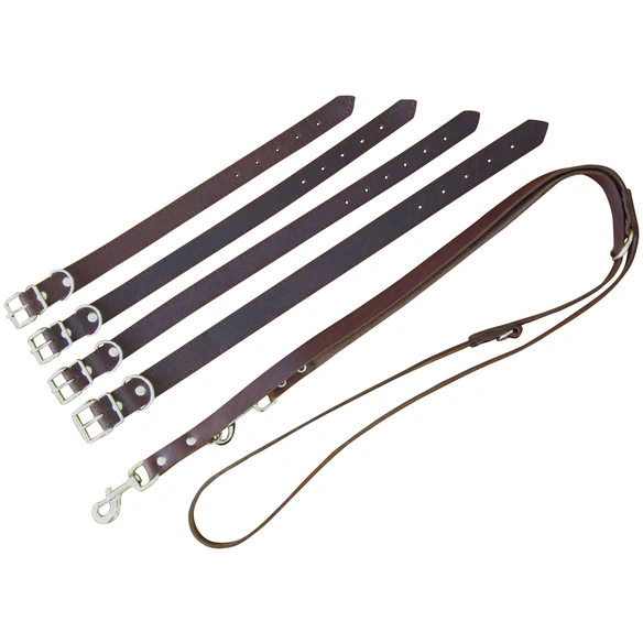 Hundehalsband, Größe: 50 cm, Rindsleder, braun